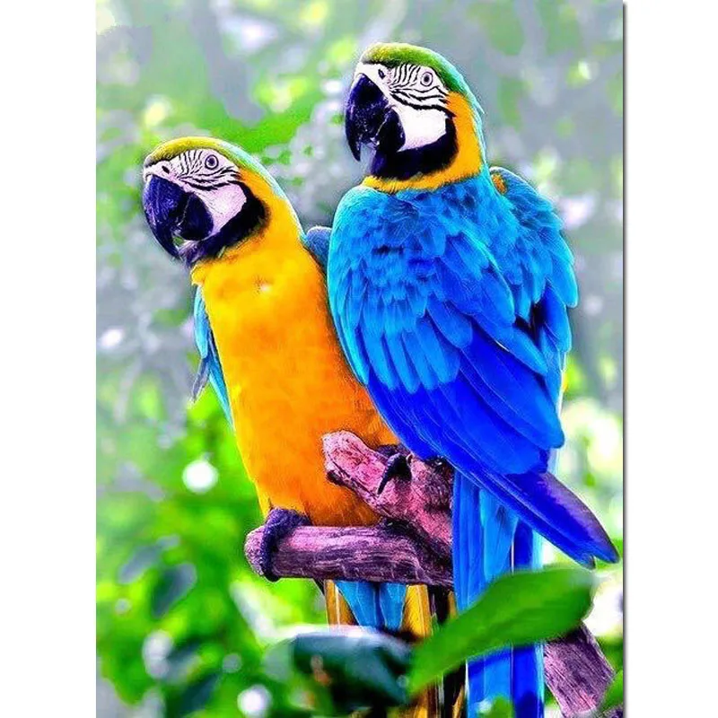 Картина для животных с синим попугаем 3D Алмазные вышитые птицы мозаика алмазная
