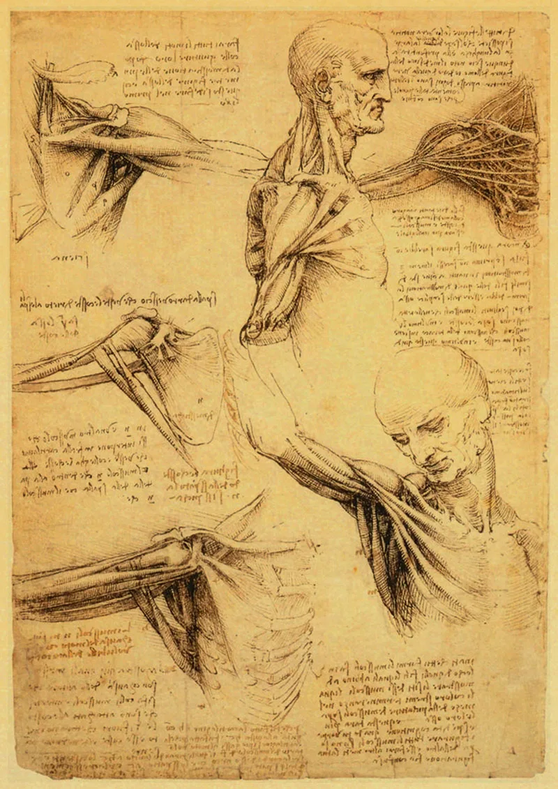 Leonardo рукопись да Винчи Витрувианский человек ностальгические плакаты ретро декоративная напечатанная картина ядро крафт Бумага наклейки на стену