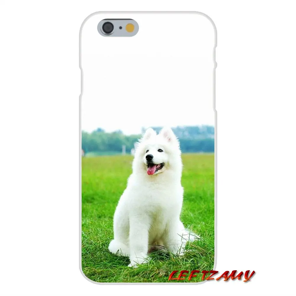 Прекрасный Samoyed собака для iPhone X XR XS MAX 4 4S 5 5S 5C SE 6 6S 7 8 Plus ipod touch Аксессуары чехлы