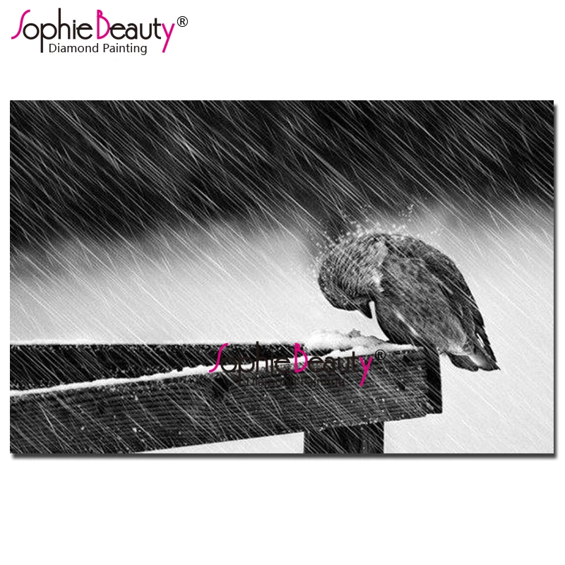 Sophie Beauty Diy алмазная живопись полная Алмазная вышивка мозаика птица в дождь