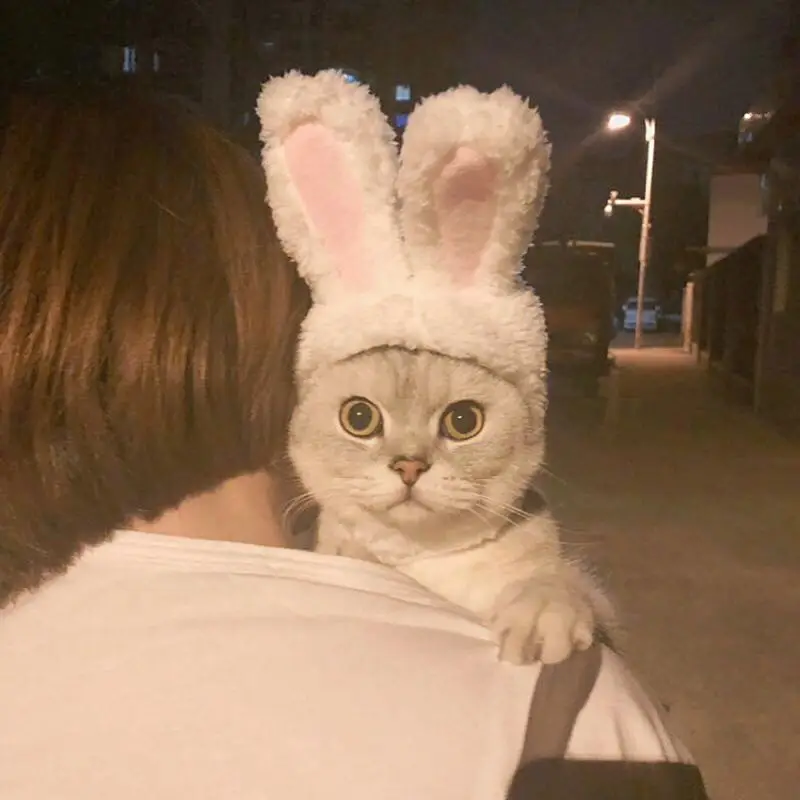 Смешные Pet Cat Кепки костюм кролика шляпу партии Косплэй аксессуары Головные
