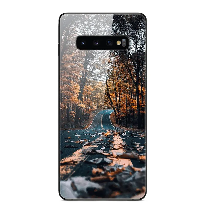 14 Чехол для samsung Galaxy S10 S10Plus, чехол из закаленного стекла для телефона, черный Чехол-бампер из ТПУ для samsung S10 Plus S10E S10+ s 10 - Цвет: 14