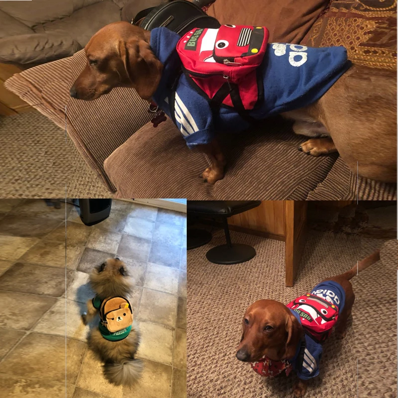 Милый рюкзак для домашних животных Модный дизайнерский ранец с рисунком