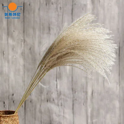 10pcs per bouquets Сушеные натуральные Цветочные букеты Натуральные Сушеные камышовые цветы и булраш цветы и фрагмиты цветы для украшения дома - Цвет: 10pcs per bouquets