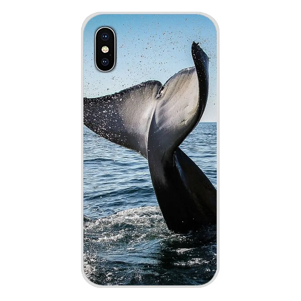 Чехол из ТПУ для Xiaomi Redmi Note 6A MI8 Pro S2 A2 Lite Se MIx 1 Max 2 3 Oneplus 6T Killer Whale Orca случайное