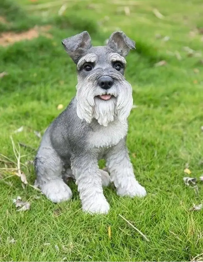 10 5D DIY Diamond Painting schnauzer Dog Diamond Embroidery Picture of Rhinestone painting mosaic pattern Modern Home Decoration - Цвет: 10