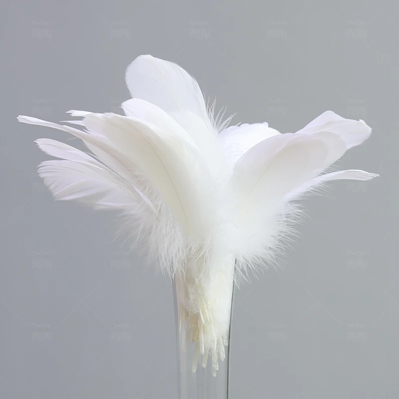 Горячая распродажа! 10 шт./лот красивые страусиные перья для самостоятельного