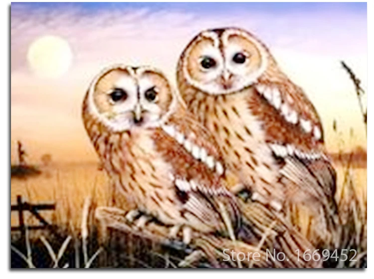 5D Алмазная вышивка Сова поделки алмаз горный хрусталь значки птица Набор для