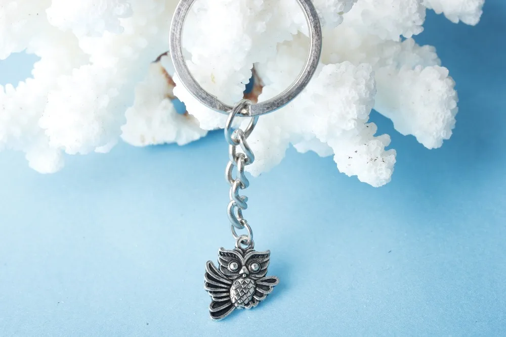 10 штук оптовая продажа лучшего подарка ювелирных изделий - Гарри Поттер милый серебряный сова подвеска брелок модные ювелирные изделия на.