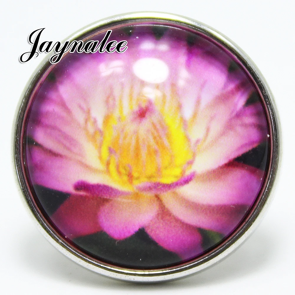 Новинка стеклянный кабошон jayna Ginger Snap с защелкой 20 мм имбирное ювелирное