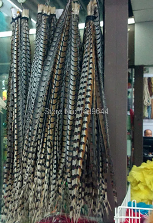 Бесплатная доставка 100-110см40-45 дюймов 60 шт натуральный цвет ringneck pheasant feather Lady Amherst
