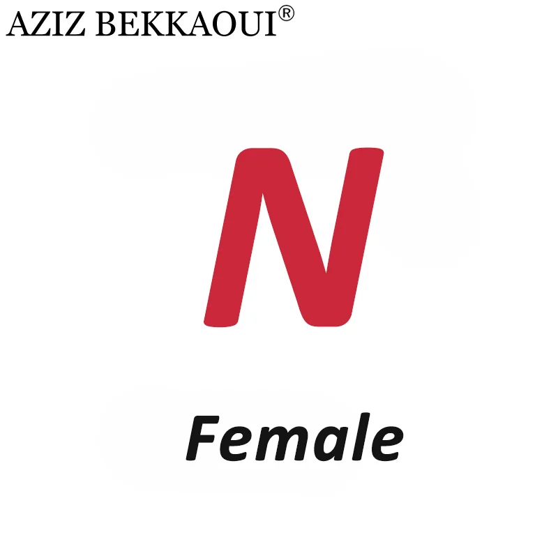 Female N AZIZ BEKKAOUI DIY обслуживание на заказ специальный зимний подарок для друзей, любимых подарок на день Святого Валентина Прямая поставка 3040-49 - Окраска металла: Female N