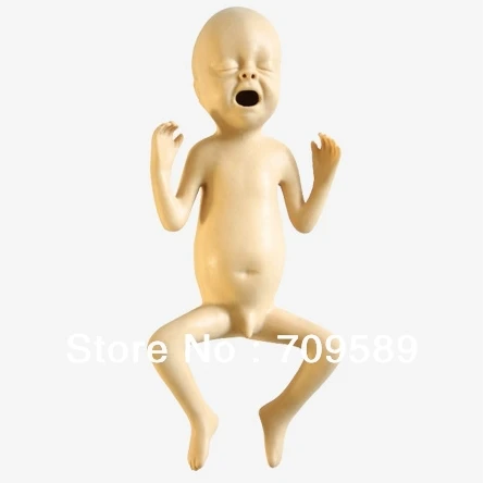 ИСО продвинутый 30 недельный манекен для преждевременного кормления младенцев