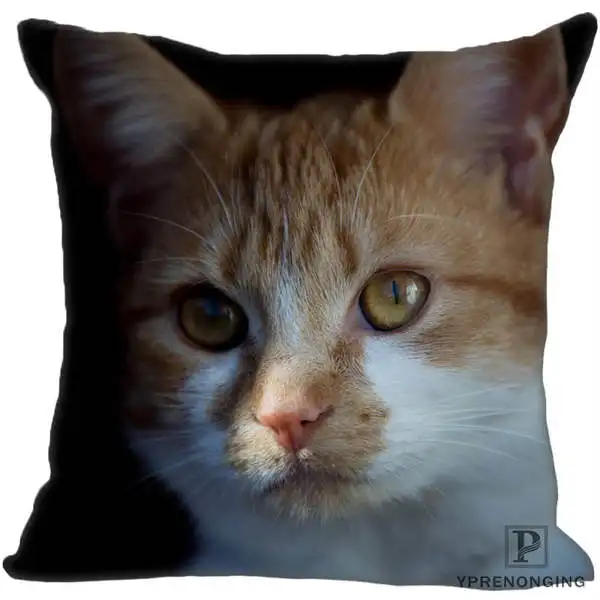 Square Pillowcases Custom Decorative Pillowcase Cats Kitten Rain Square Zippered Pillow Cover(One Side)80527-21-03 - Цвет: Square Pillowcases