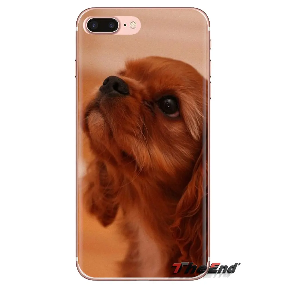 For Xiaomi Redmi 4A S2 Note 3 3S 4 4X 5 Plus 6 7 6A Pro Pocophone F1 Cavalier King Charles Spaniel dog puppy Phone Cover Housing |