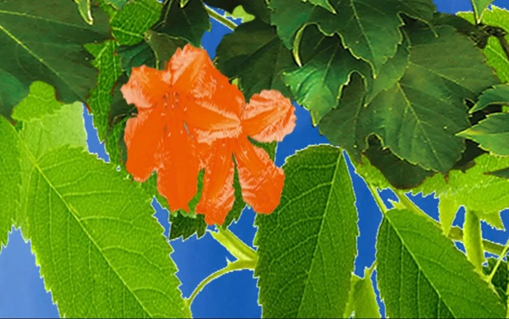 Пользовательские 3d потолочные обои Небесно свежие синие облака