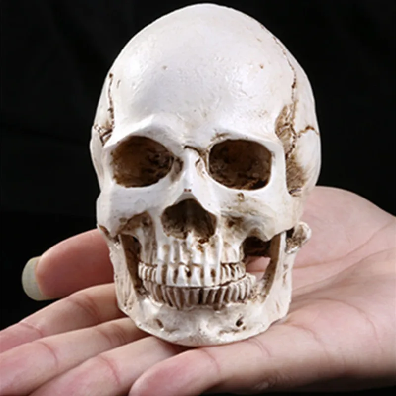 Полимерные статуи BUF для украшения голова черепа креативные фигурки