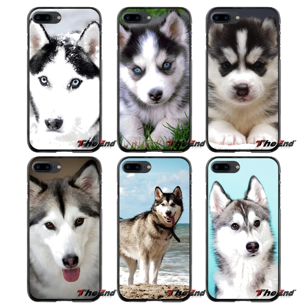 Аксессуары чехлы для телефонов Husky Dog Apple iPhone 4 4s 5 5S 5C SE 6 S 7 8 Plus X iPod Touch