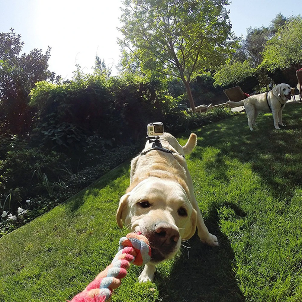 Регулируемые шлея для собаки нагрудный ремень эластичное одеяло Открытый