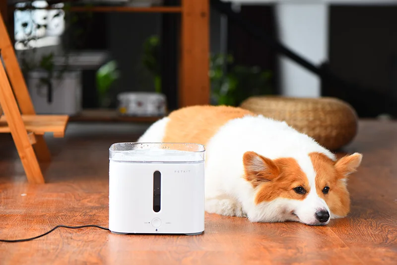 PETKIT электрический питомец кошка собака питьевой воды диспенсер Фонтан автоматическая кормушка собаки квадратный поилка comederos para mascotas