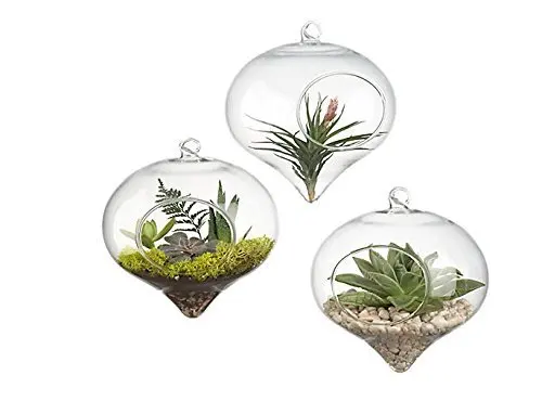 Упаковка из 3 Стекло подвесной ящик для комнатных растений висит Террариум