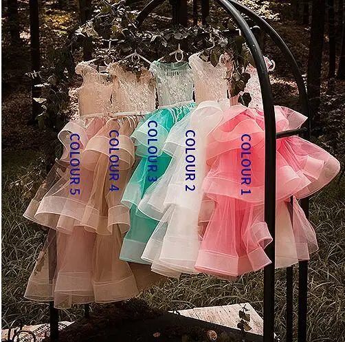 color1 Новые Роскошные платья на день рождения для маленьких девочек, пышные платья из органзы с открытой спиной и цветочным принтом для девочек, пышное платье на заказ - Цвет: color1