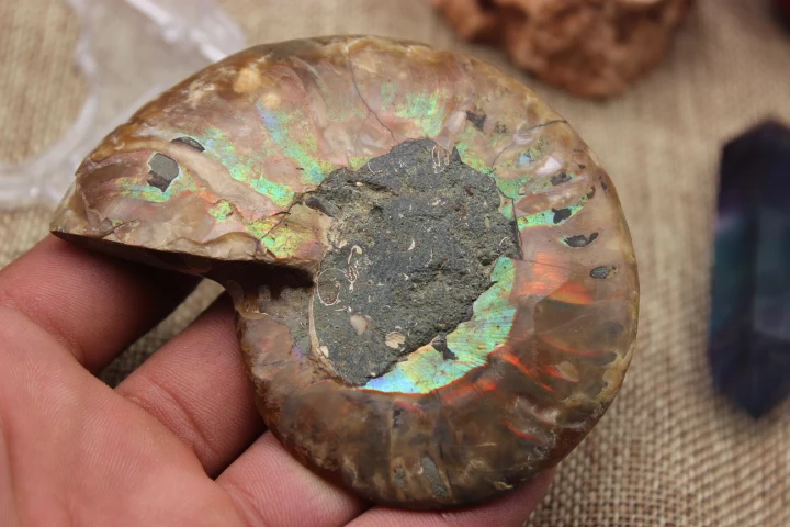 Пары раздельных фотографий исцеление Мадагаскара A9|pair| |