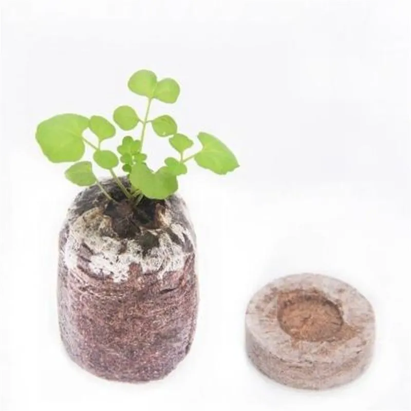 Гранулы для торфа 50 шт. 30 мм пусковые вилки семян поддон блоки грунта под рассаду