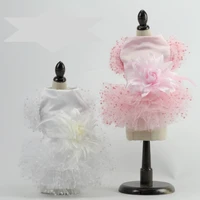 fashion lace princess pet dog wedding dresses pet tutu skirt puppy cat dress pet festival cloth apparel solid color xs xl teddy