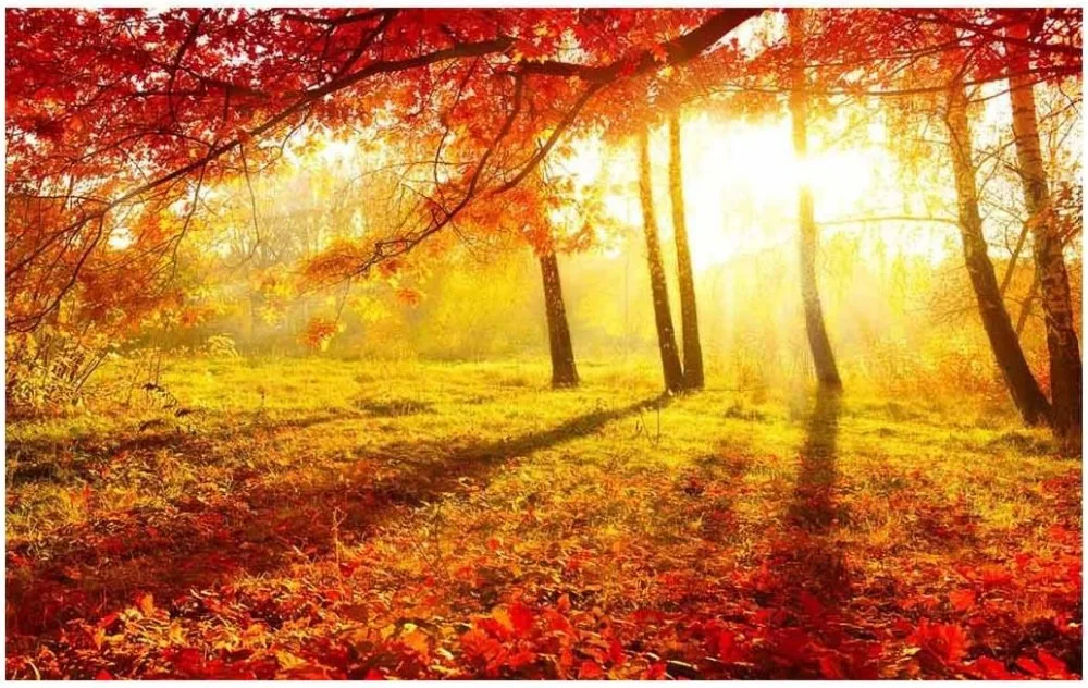 classic painting wallpaper 3d murals for living room Landscape Sunshine leaves Home Decoration | Обустройство дома