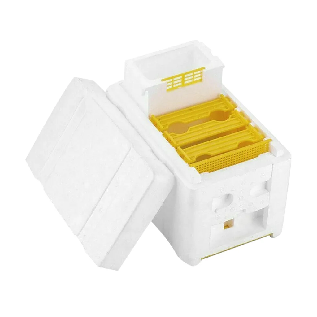 Улей коробка урожая улей королева опыление пчеловодства для копуляции резерв