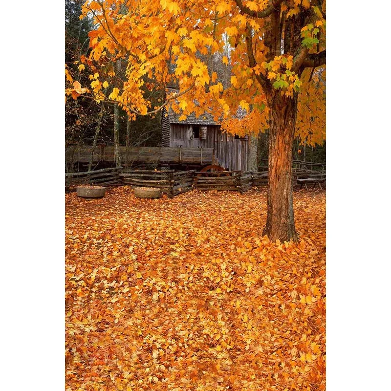 Фон Mehofoto с Кленовым листом для фотосъемки осенний фон фотостудии реквизит