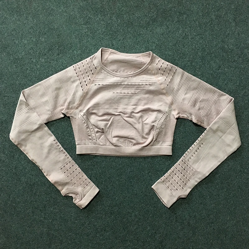 nude pink tops Спортивный комплект из 2 предметов, тренировочная одежда для женщин, безупречный трикотажный топ с длинным рукавом+ бесшовные леггинсы, комплект из 2 предметов для йоги - Цвет: nude pink tops