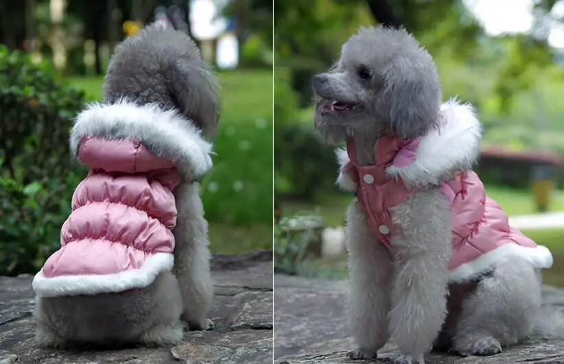 Новый стиль pet куртка в стиле милых собачек зимняя теплая для собак Одежда