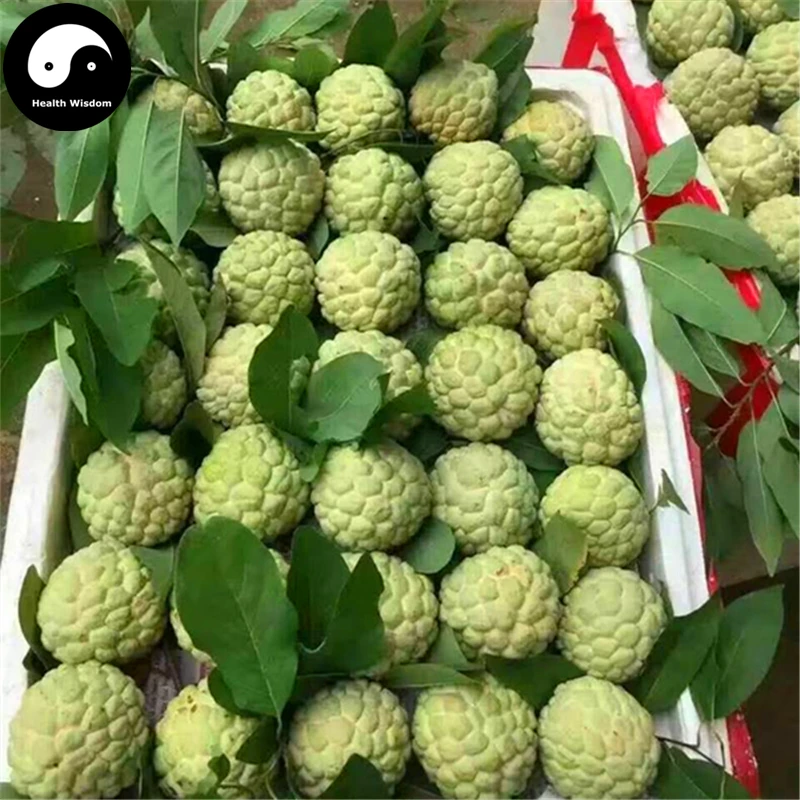 Купить Annona Squamosa фруктовое дерево Semente 30 шт завод Sweetsop для чиримола