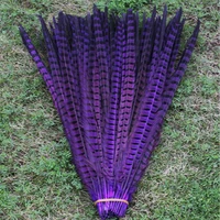 free shipping 100 pcs long purple color pheasant tail feathers 22 24inches55 60cm