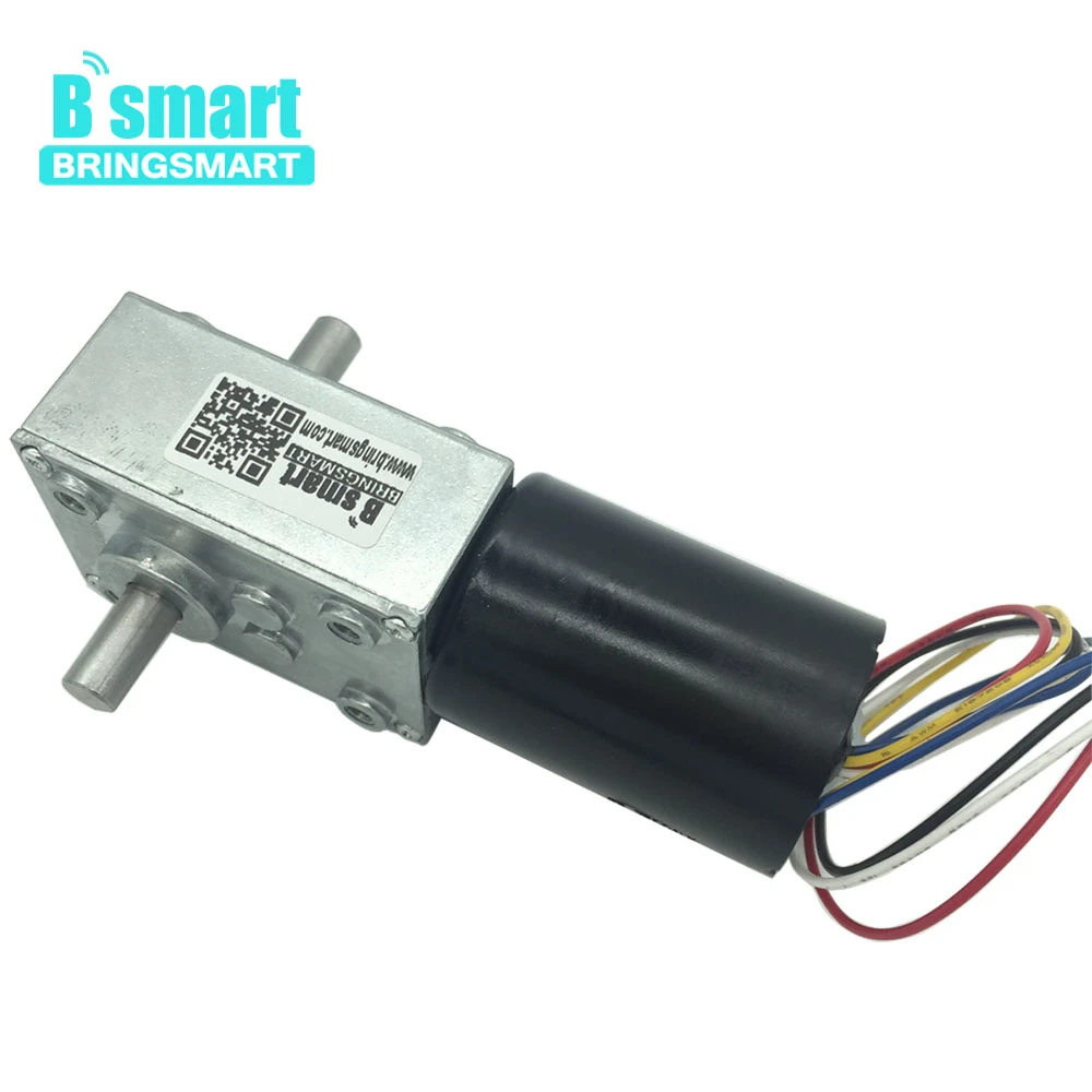Bringsmart BLDC мотор 12 В 24 в двойной вал червячный редуктор мини самоблокирующийся