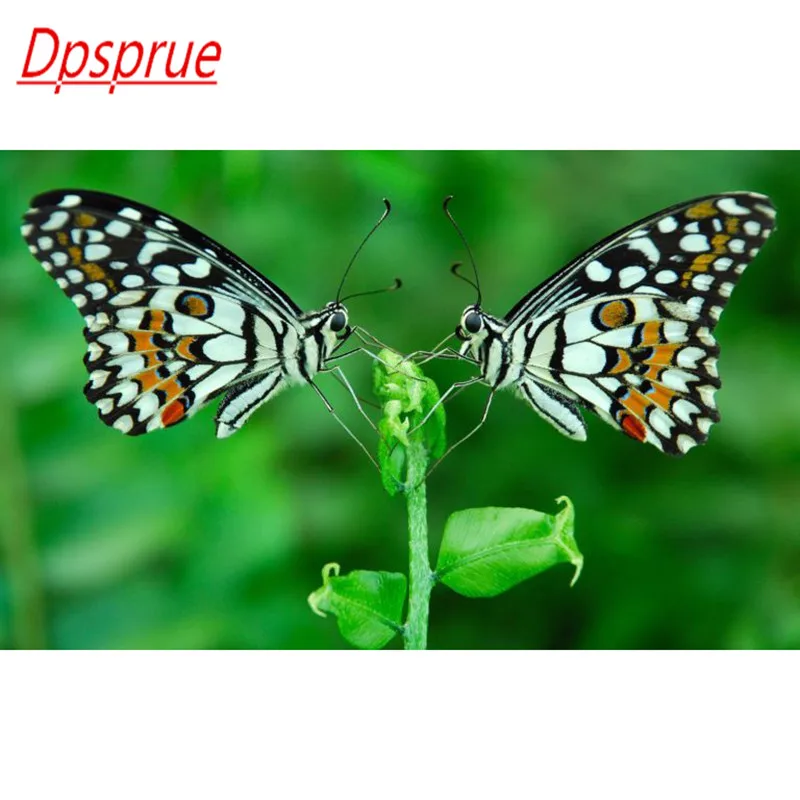 

Dpsprue 5D полная квадратная/круглая Алмазная картина DIY Вышивка крестиком животное Бабочка 3D вышивка Алмазная мозаика домашний Декор подарок