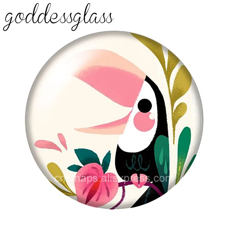 Lovely Bird Ramphastos toco 10pcs mixed 12mm/18mm/20mm/25mm Round photo glass cabochon demo flat back Making findings ZB1099 | Украшения и