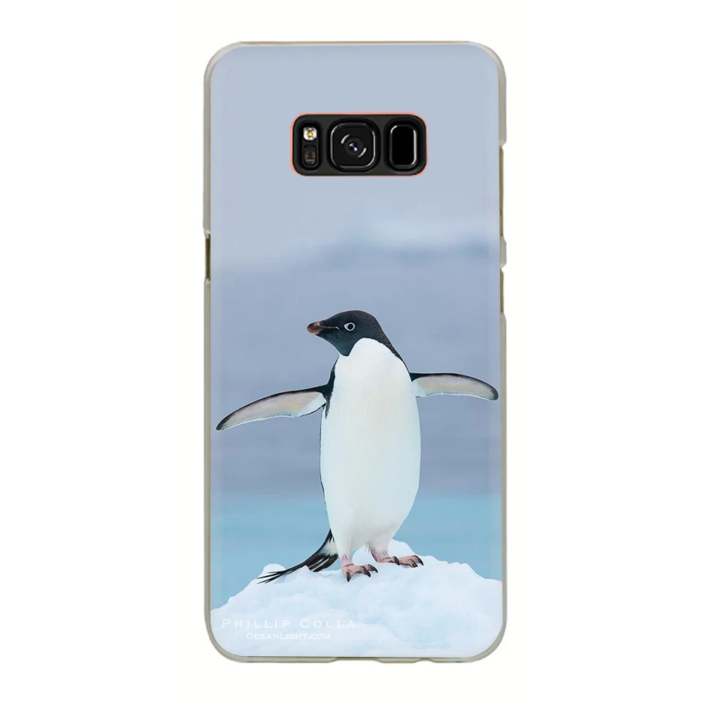H5 Пингвин жесткий чехол для телефона с рисунком в виде крышка чехол для samsung Galaxy S6 7 Edge S8 9 Plus S10 E Plus Note8 9 M10 20-30 - Цвет: H5
