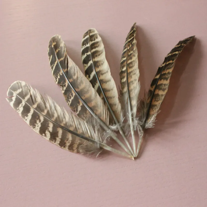 

Free shipping 500 pcs natural 10-15 cm/4-6inches pheasant beautiful feathers
