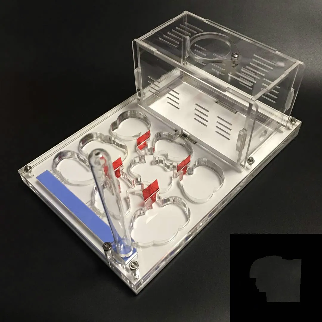 1 шт. муравьиные гнезда акриловые большие плоские гнезды муравьиная домашняя