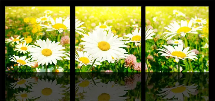 

High-quality Modern pictures decor Picture Printed On Canvas Daisy Flowers oil painting on canvas 3 panel wall art