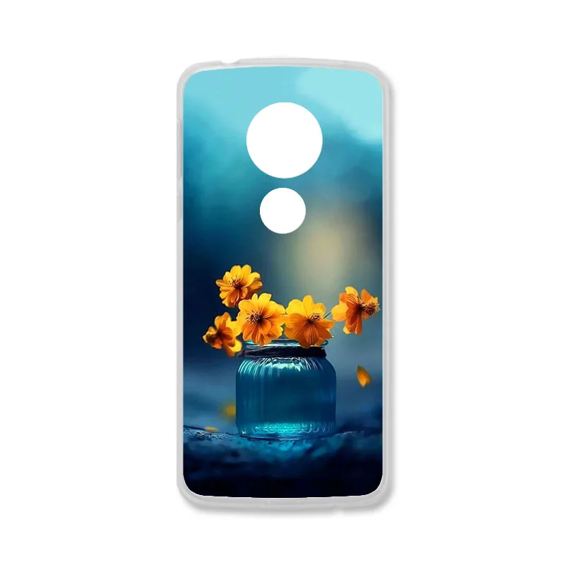 TAOYUNXI Мягкий ТПУ чехол для Motorola Moto G6 Play чехол s для Moto E5 Moto E(5th Gen.) 5,7 дюймов DIY окрашенные защитные чехлы - Цвет: Q084
