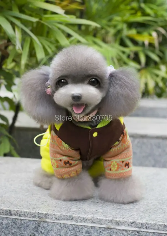 Зима флис утолщение ветрозащитный зеленый фантастика лошадь бренда щенок