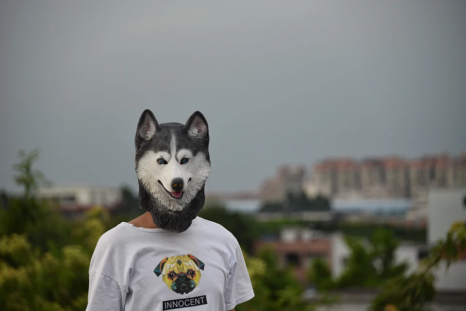 Маска Из Латекса для собак из сибирской хаски на Хэллоуин новинка костюм