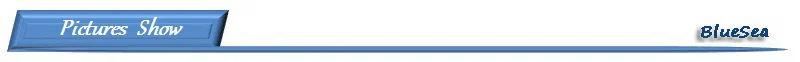 BlueSea 39950 из нержавеющей стали тунец круглые Крючки тунец круг приманки рыболовные крючки