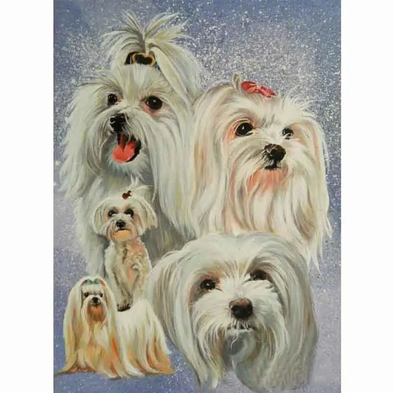 5D Алмазная мозаика распродажа алмазная вышивка значки бусины животные собака