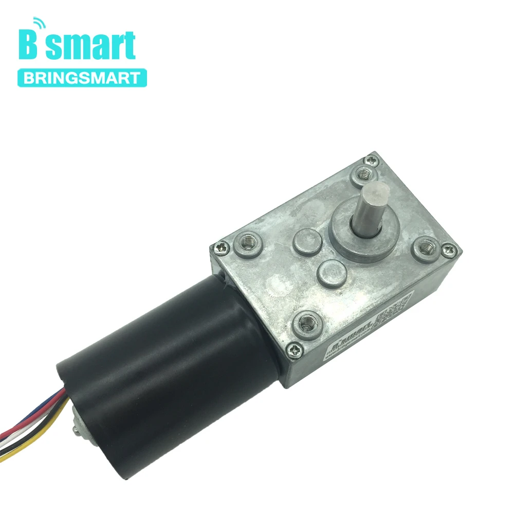 Бесщеточный червячный редуктор постоянного тока Bringsmart 5840 3650 реверсивный