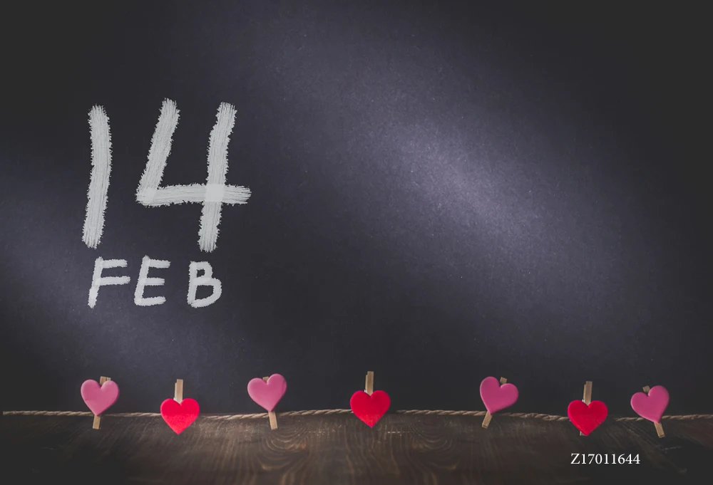 Фон для студийной фотосъемки LIFE MAGIC BOX с изображением Дня Святого Валентина 14TH Para